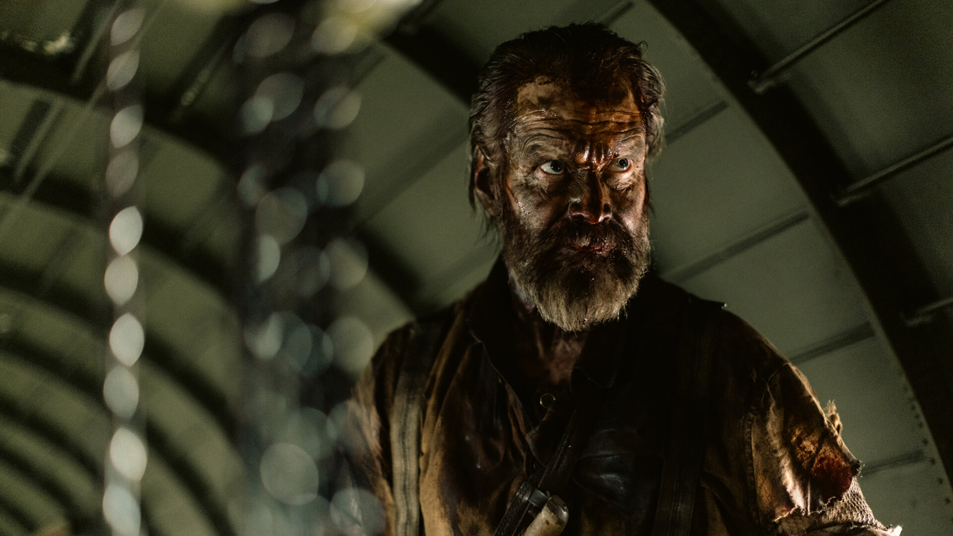 Cinematografia nordică, celebrată la TIFF 2023