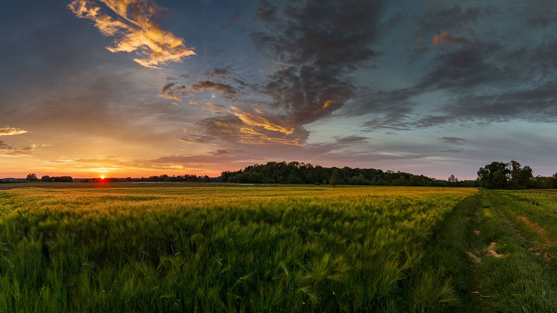Urziceni – cunoscut și ca „locul cu multe urzici”a fost printre primele localități sătmărene colonizate cu etnici șvabi