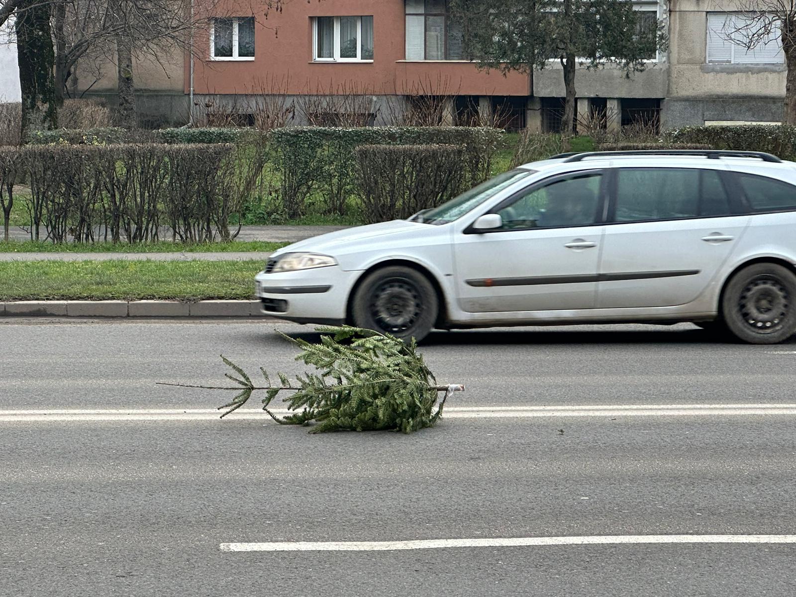 Încă un brad... abandonat!