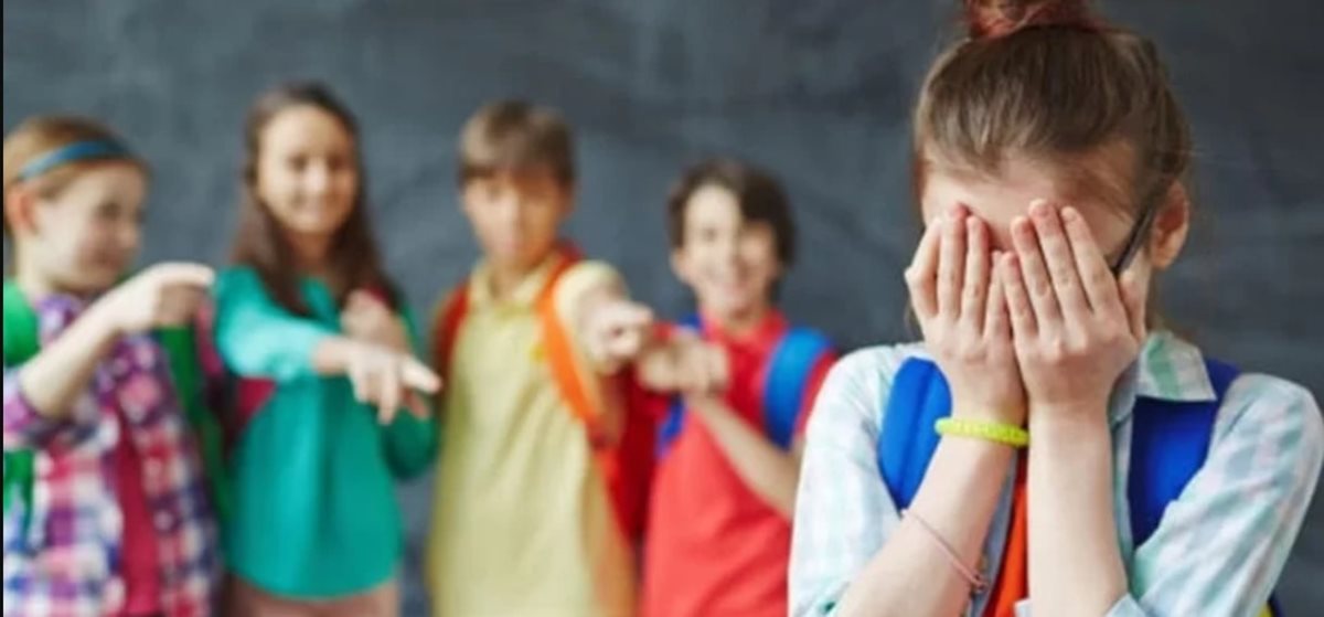 Campania județeană de prevenire și combatere a violenței în mediul școlar  „Armonie în școli, siguranță în viață”