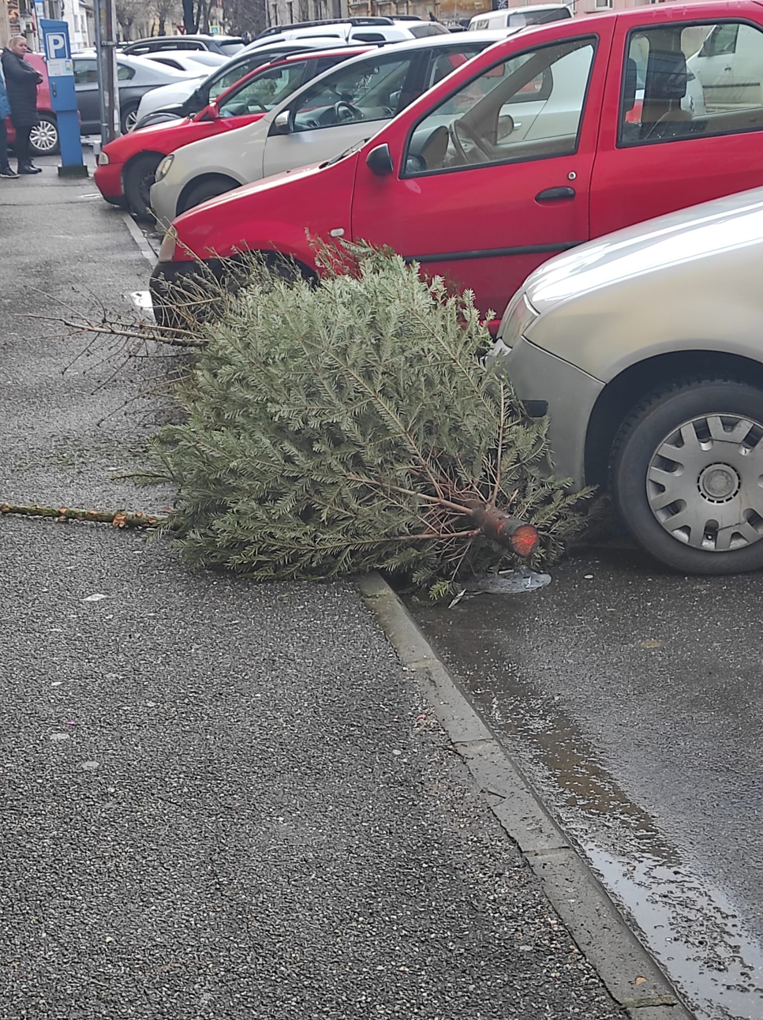 “O, brad abandonat” sau “un brad abandonat”?