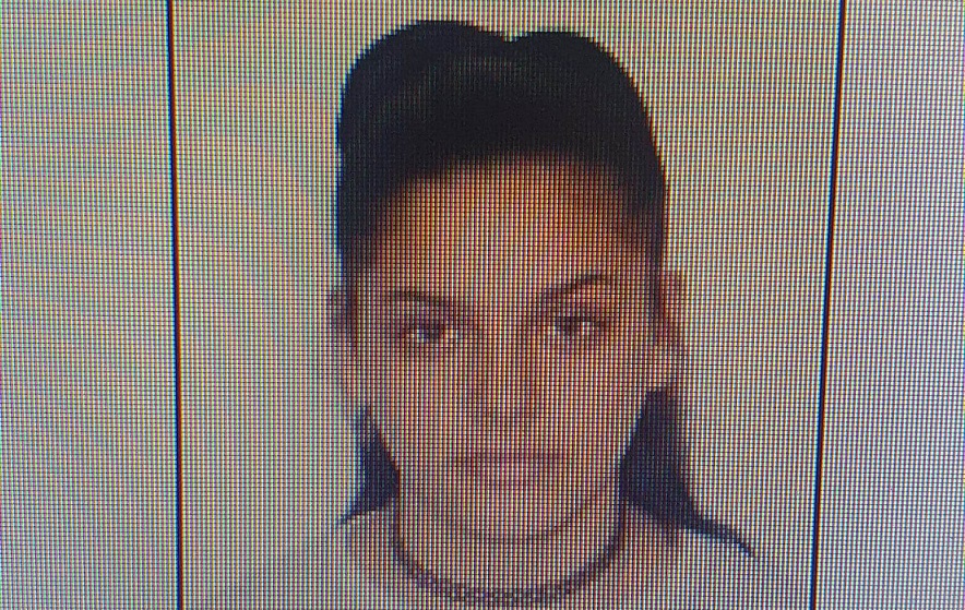 AȚI VĂZUT-O? A DISPĂRUT de acasă