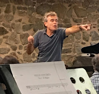 Joi și vineri vom avea câte un „Concert extraordinar de Anul Nou” la filarmonică