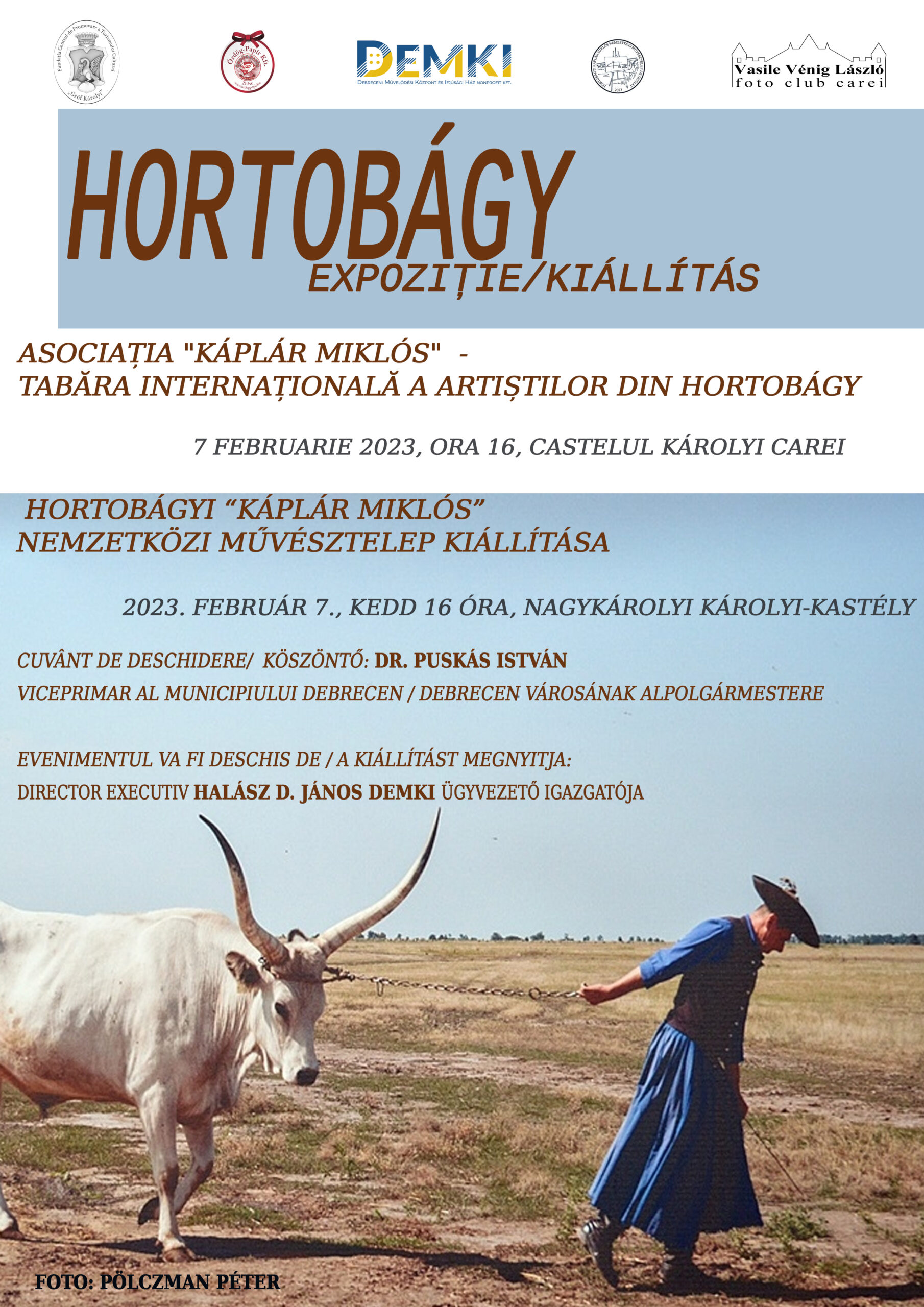 Expoziției de arte vizuale la Castelul Károlyi