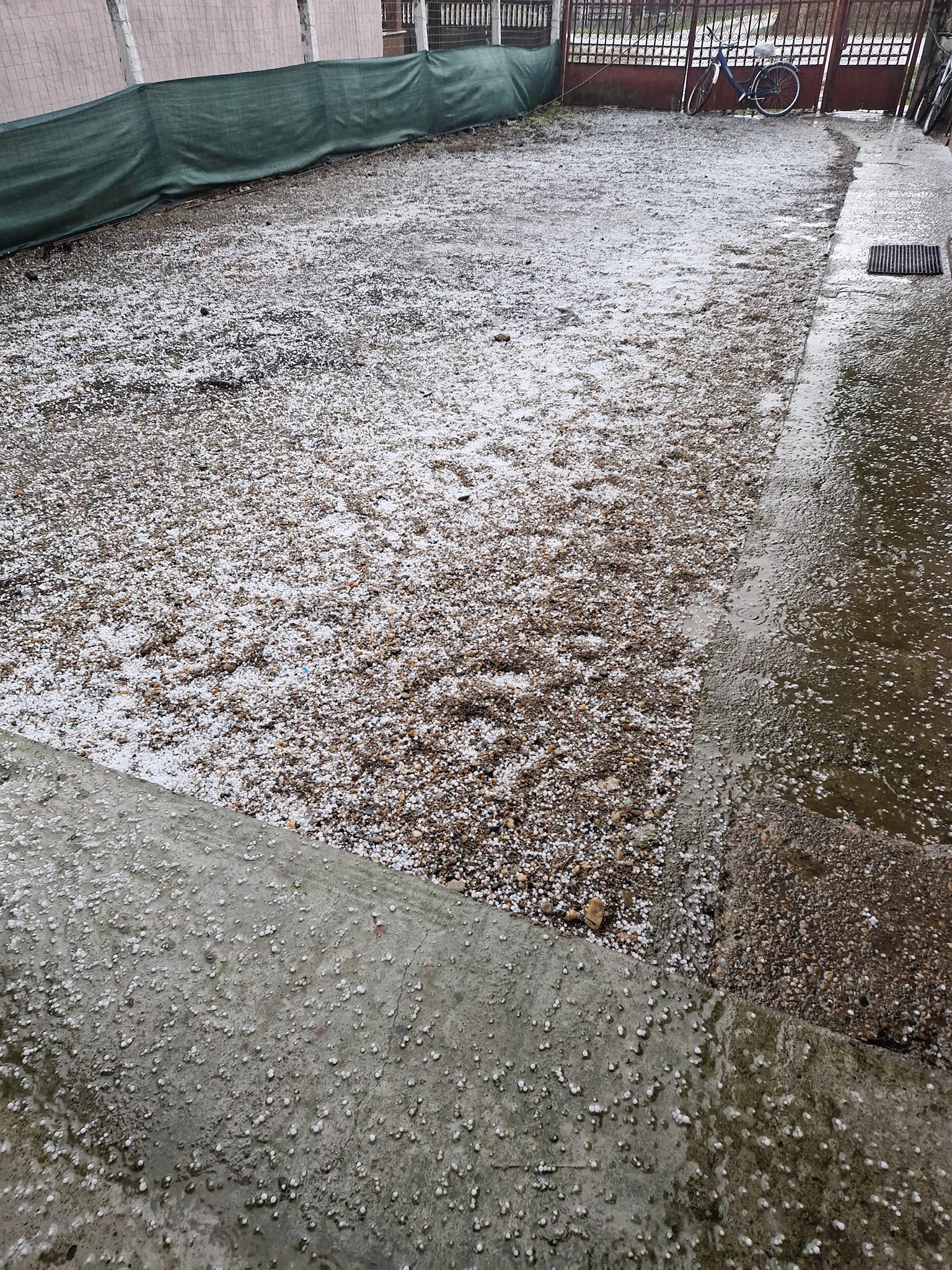 VIDEO/FOTO. PĂRPĂD. GRINDINĂ și TUNETE în județ ca în miez de vară