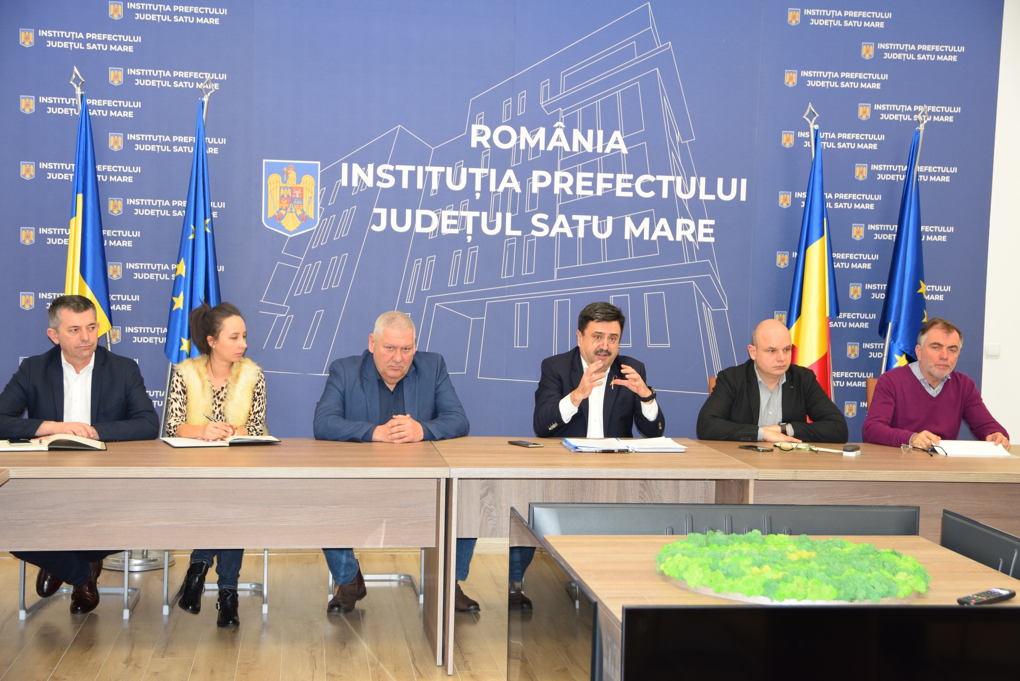 Se caută soluții pentru rezolvarea problemei câinilor fără stăpân din județ