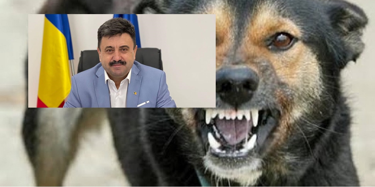 Prefectul Radu Roca a luat urgent măsuri cu privire la cazul femeii din Cămârzana, mușcată de câinele vecinului