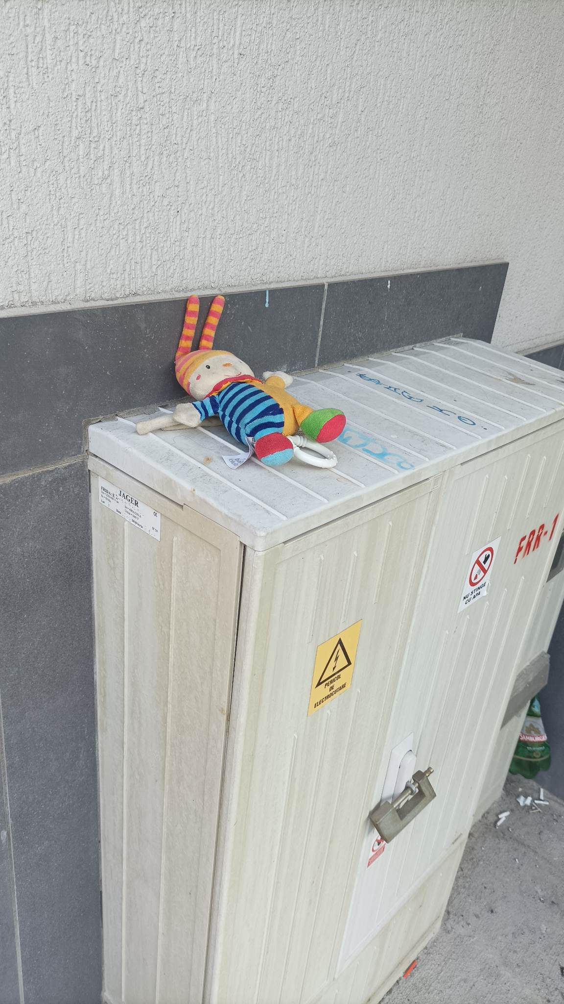 De la deșeuri, la jucării