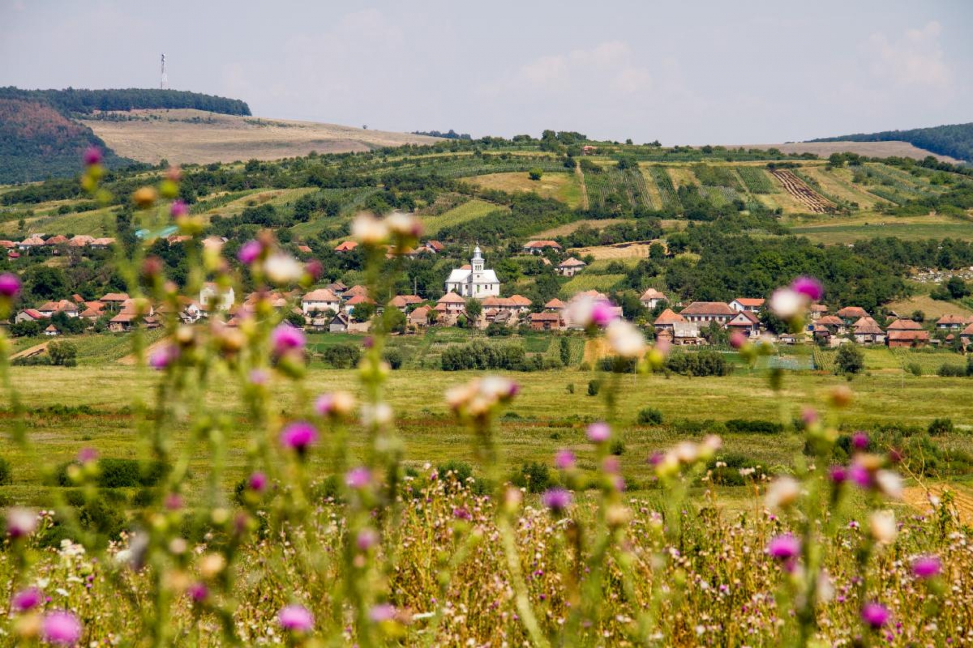 Scurt istoric al comunei Bogdand  și a satelor aparținătoare