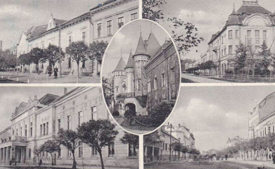 Transformările prin care a trecut  Plasa Carei după Tratatul de la Trianon