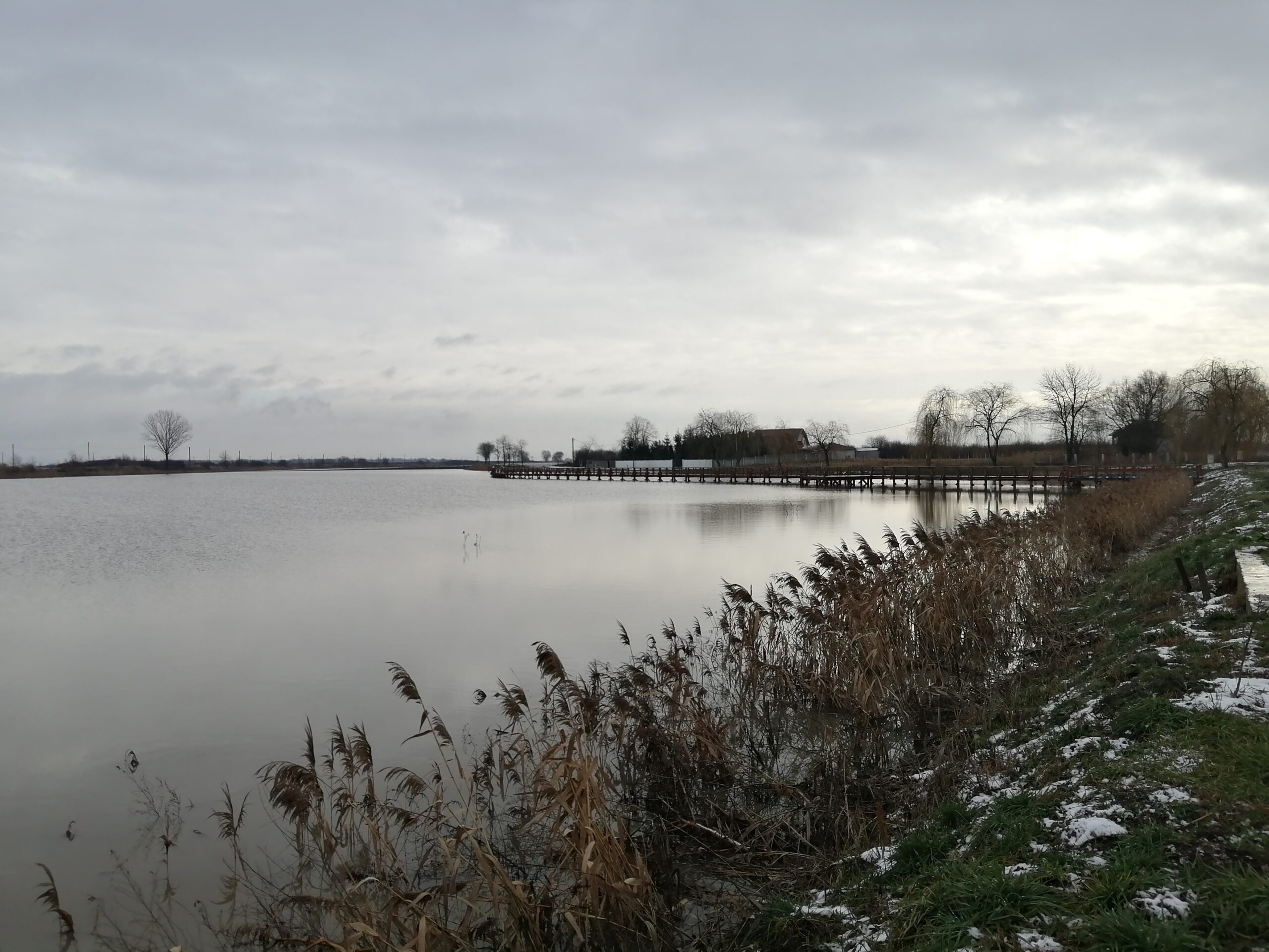 „2 Februarie-Ziua Mondială a Zonelor Umede”