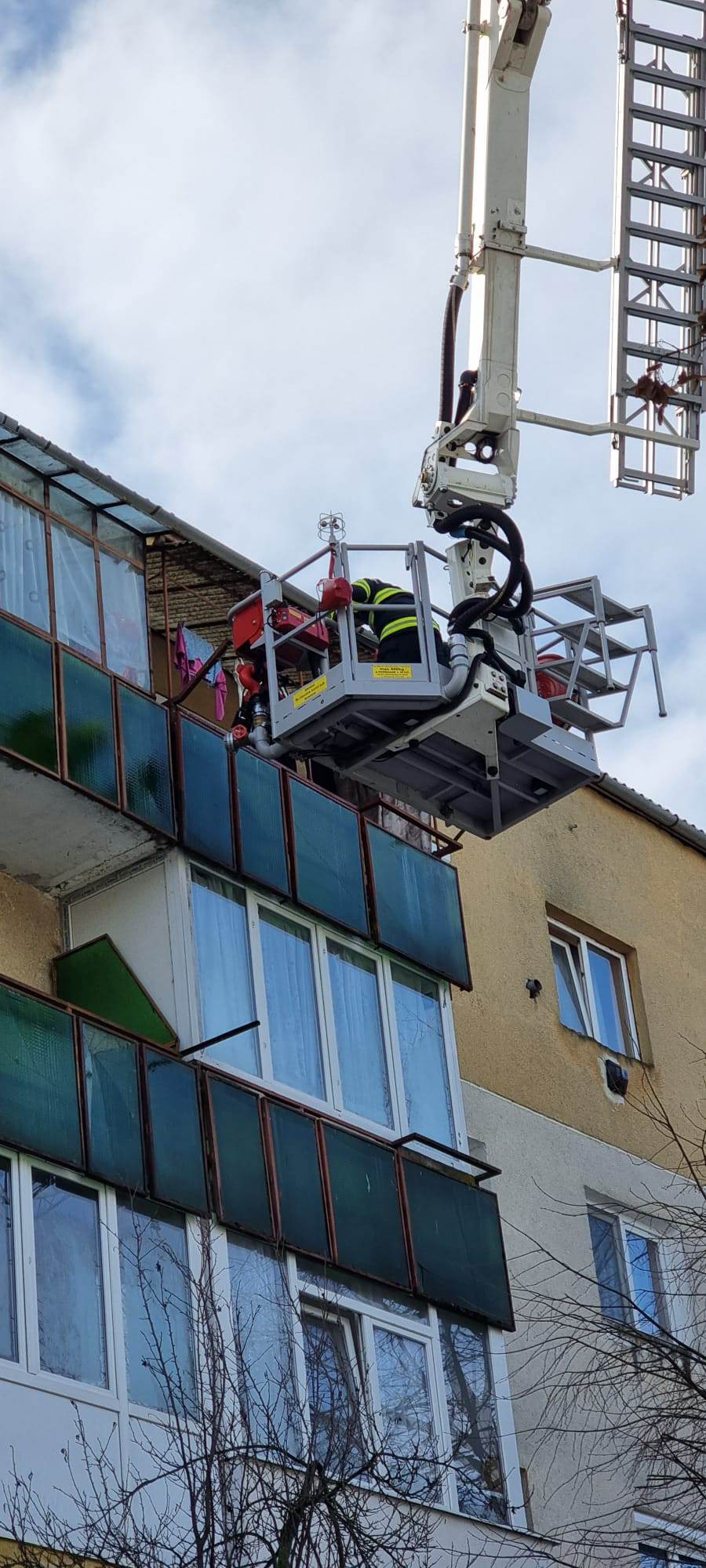 FOTOGALERIE. DESCOPERIRE MACABRĂ la Satu Mare