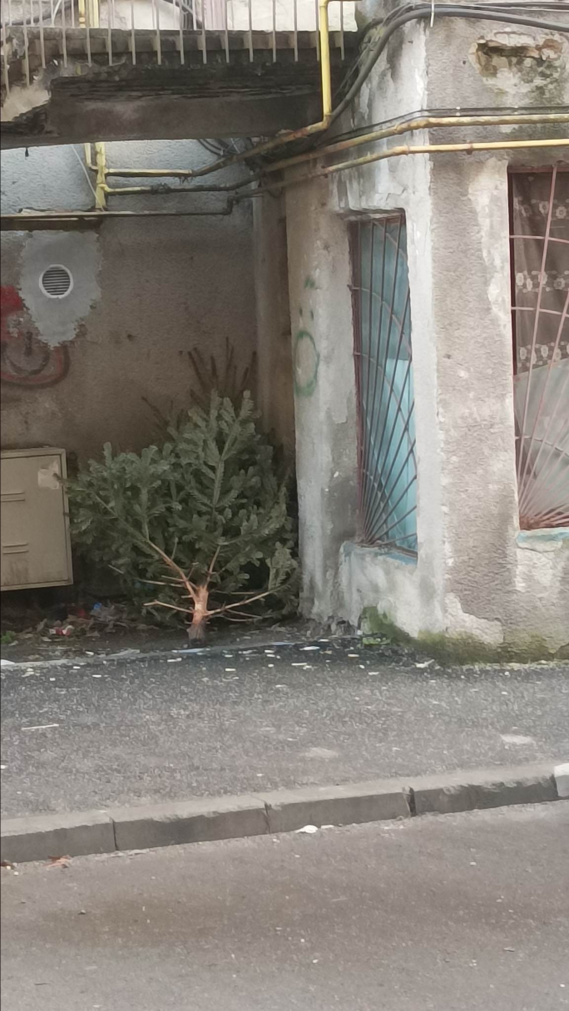 Martie sau ianuarie?