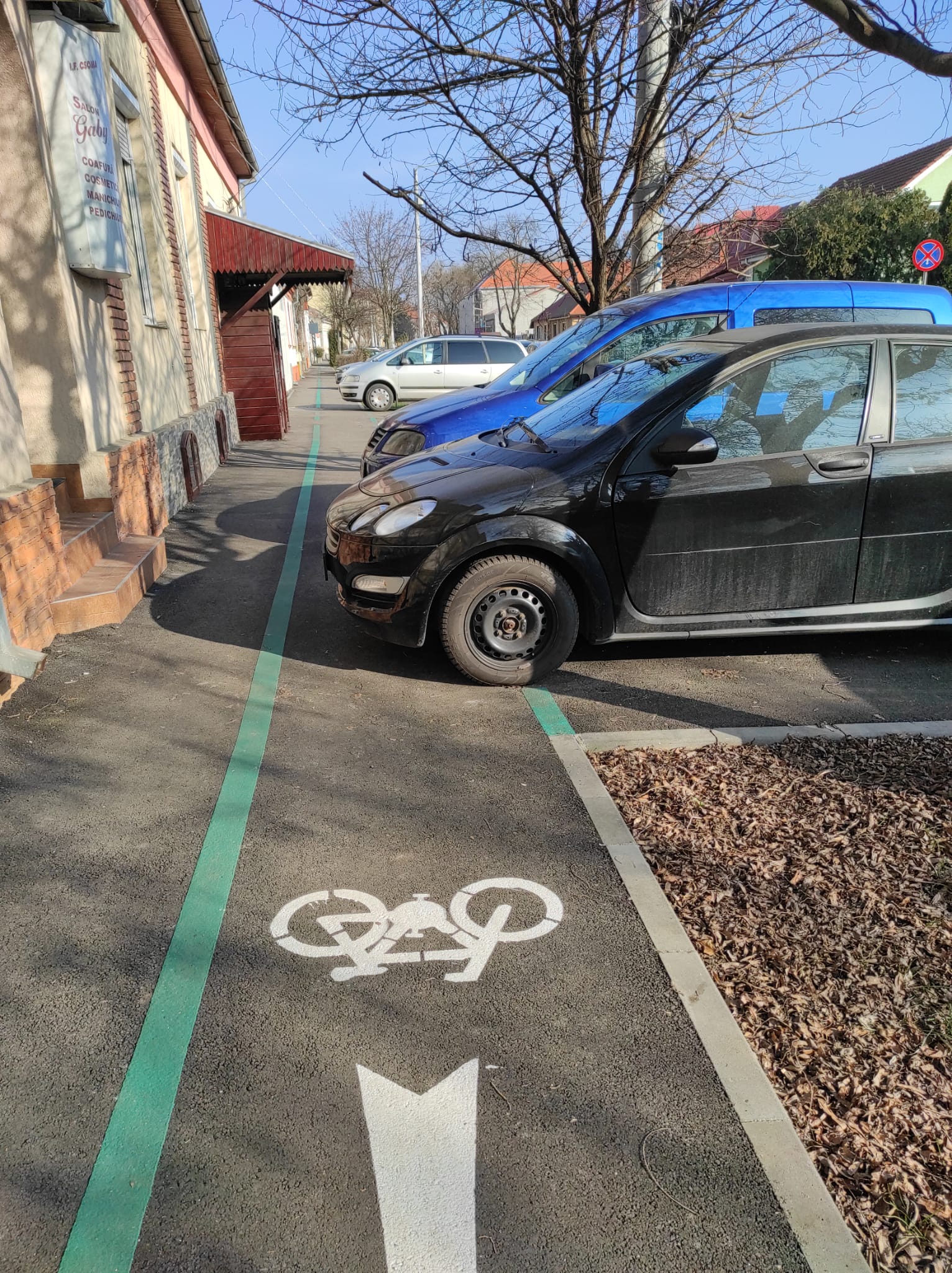 Pedalăm dacă putem...