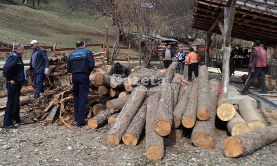 Zeci de metri cubi de lemne, fără documente, depistați  de polițiști în Codru