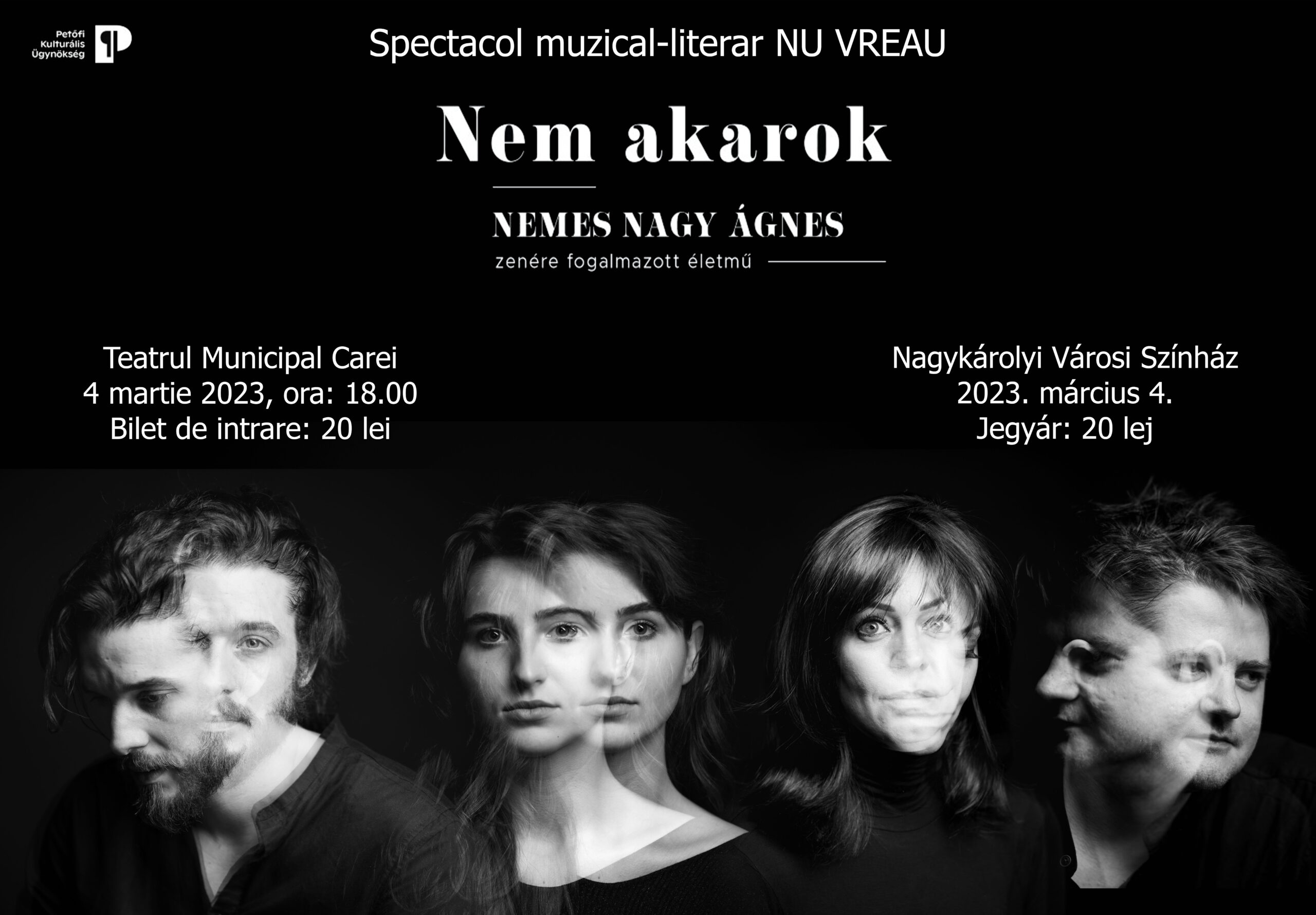 Spectacolul „Nu vreau”, la Teatrul Municipal din Carei