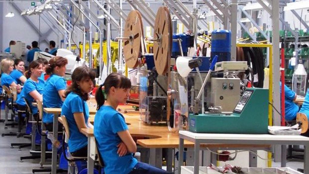 STATISTICĂ. Pregătire precară a sătmărenilor