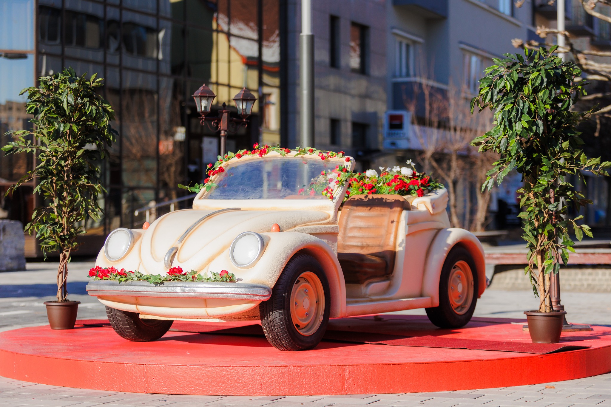 Cadou pentru sătmăreni cu ocazia Zilei Îndrăgostiților