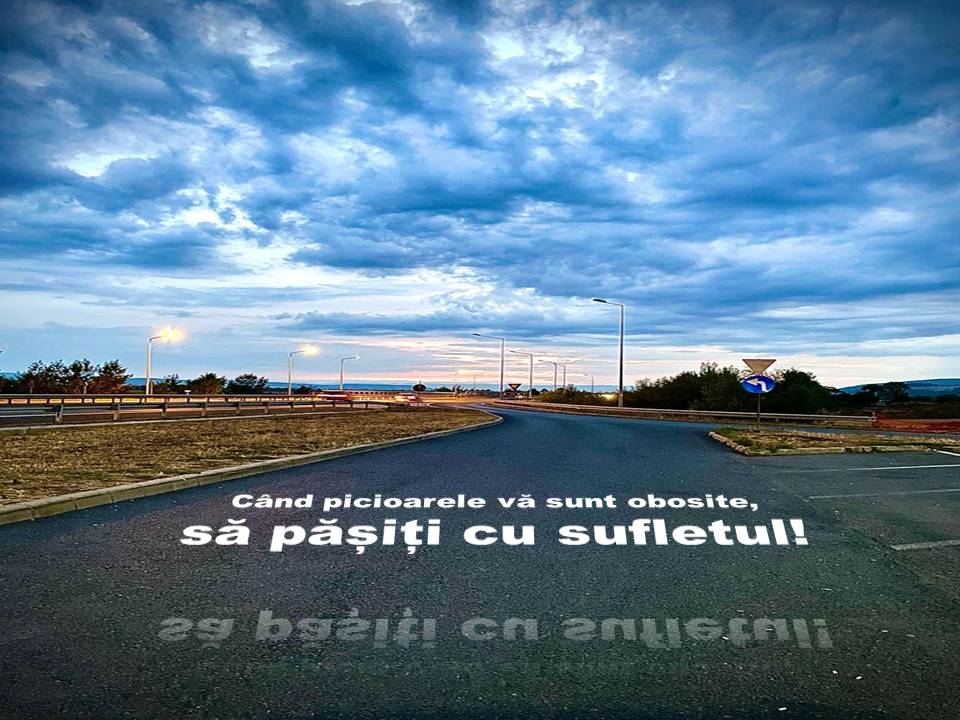 FOTO/VIDEO EDITORIAL - VERTICALI PENTRU ROMÂNIA: CONFESIUNI LA FIRUL IERBII – II