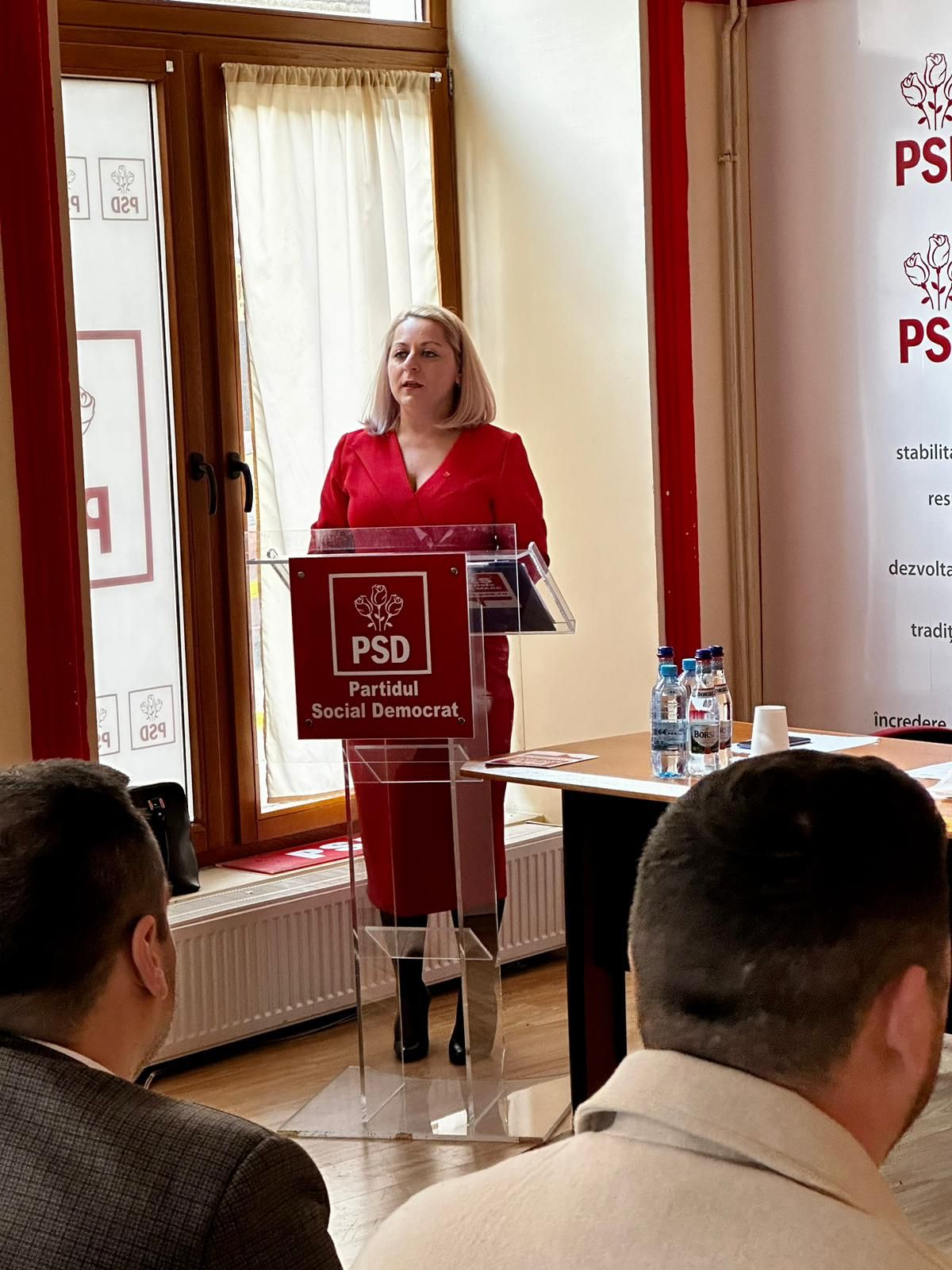 Alina Chiș , președinte al Organizației Municipale PES Activists Satu Mare