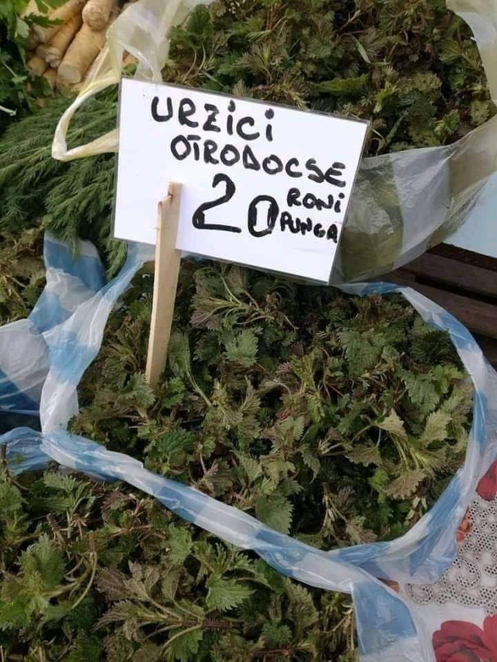 Urzicile, mai scumpe  ca și carnea