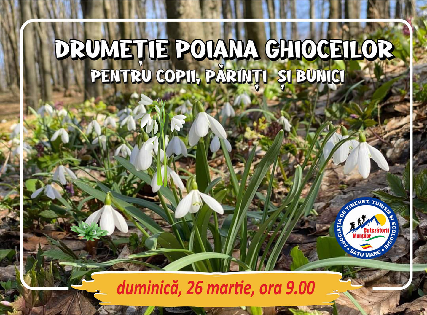 Drumeție într-un loc de basm: Poiana cu Ghiocei din Hodișa