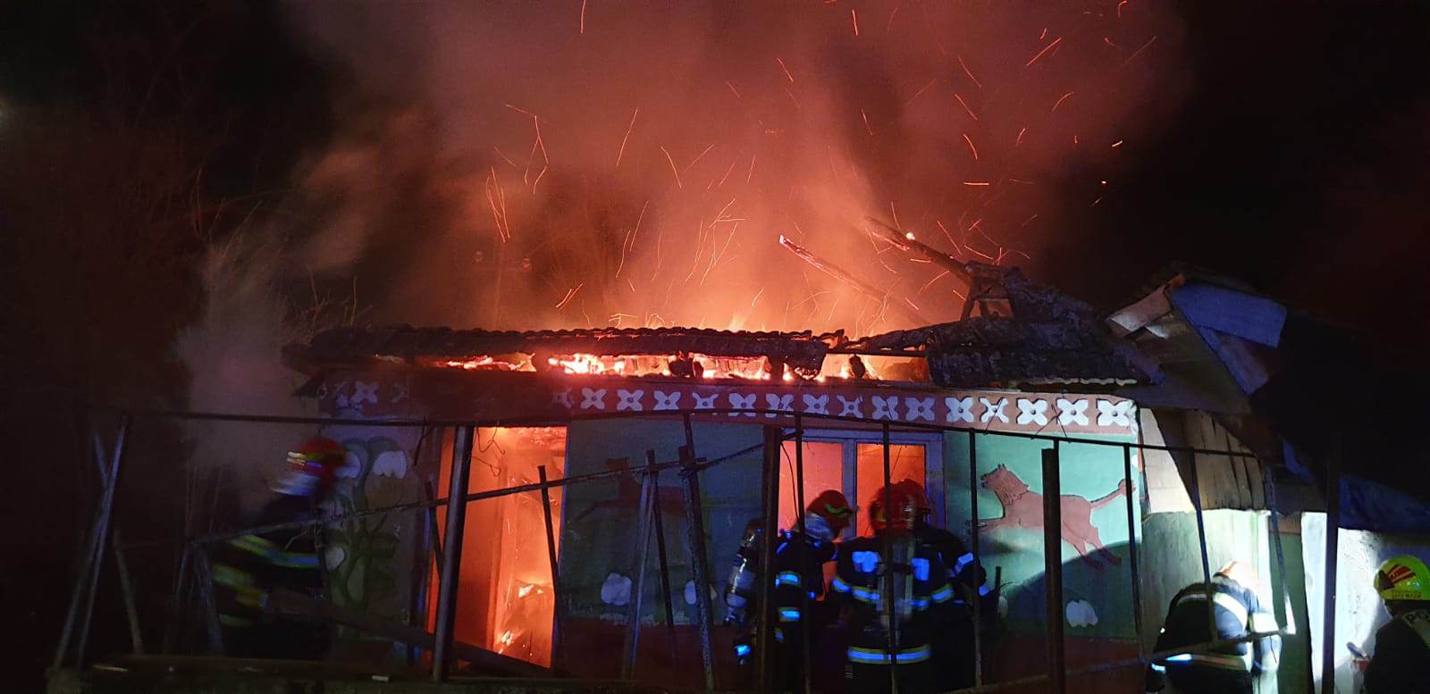 FOTOGALERIE. Incendiu DEVASTATOR la Satu Mare