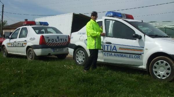 AMENZI DRASTICE  aplicate de POLIȚIA ANIMALELOR la Satu Mare