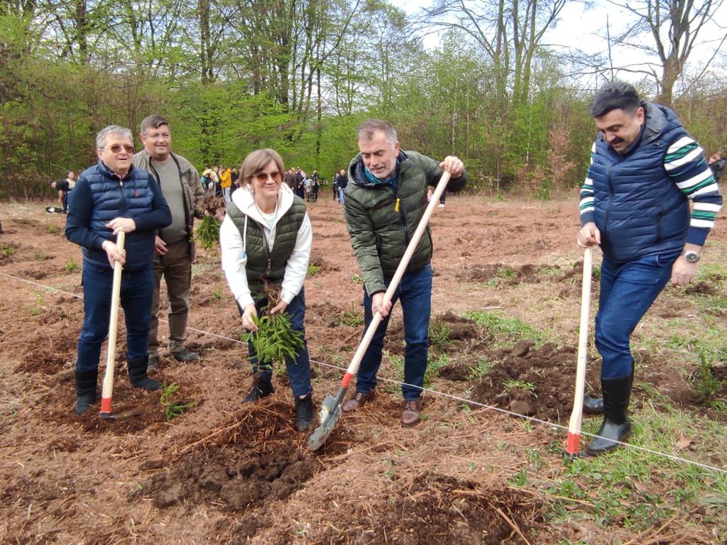 FOTOGALERIE. Peste 3000 de arbori plantați în zona Luna Șes