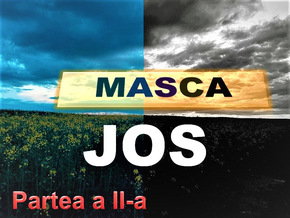 VERTICALI PENTRU ROMÂNIA:  CONFESIUNI LA FIRUL IERBII – IV