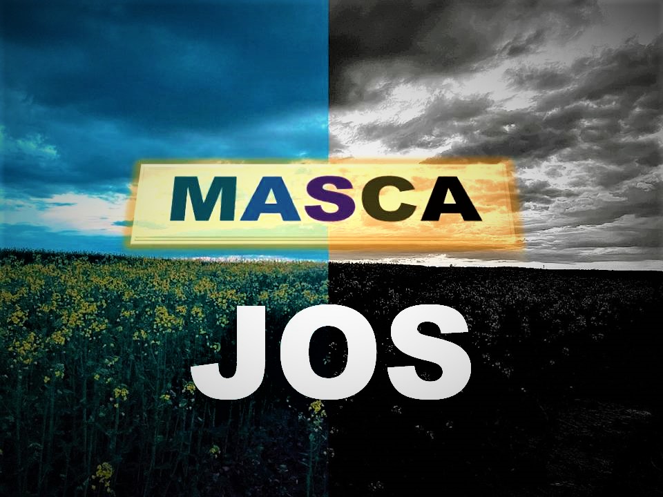 VERTICALI PENTRU ROMÂNIA:  CONFESIUNI LA FIRUL IERBII – III