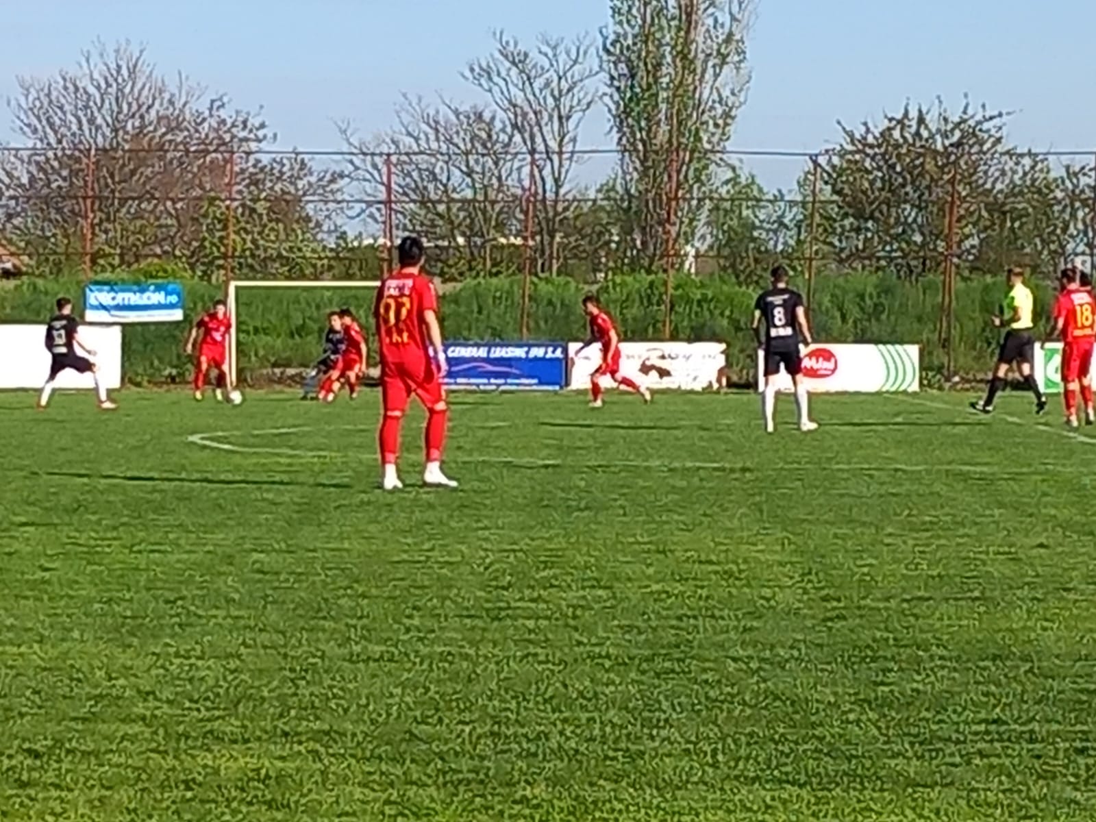 Bătuți de fostul FCSB-ist, Stefan Nikolic!