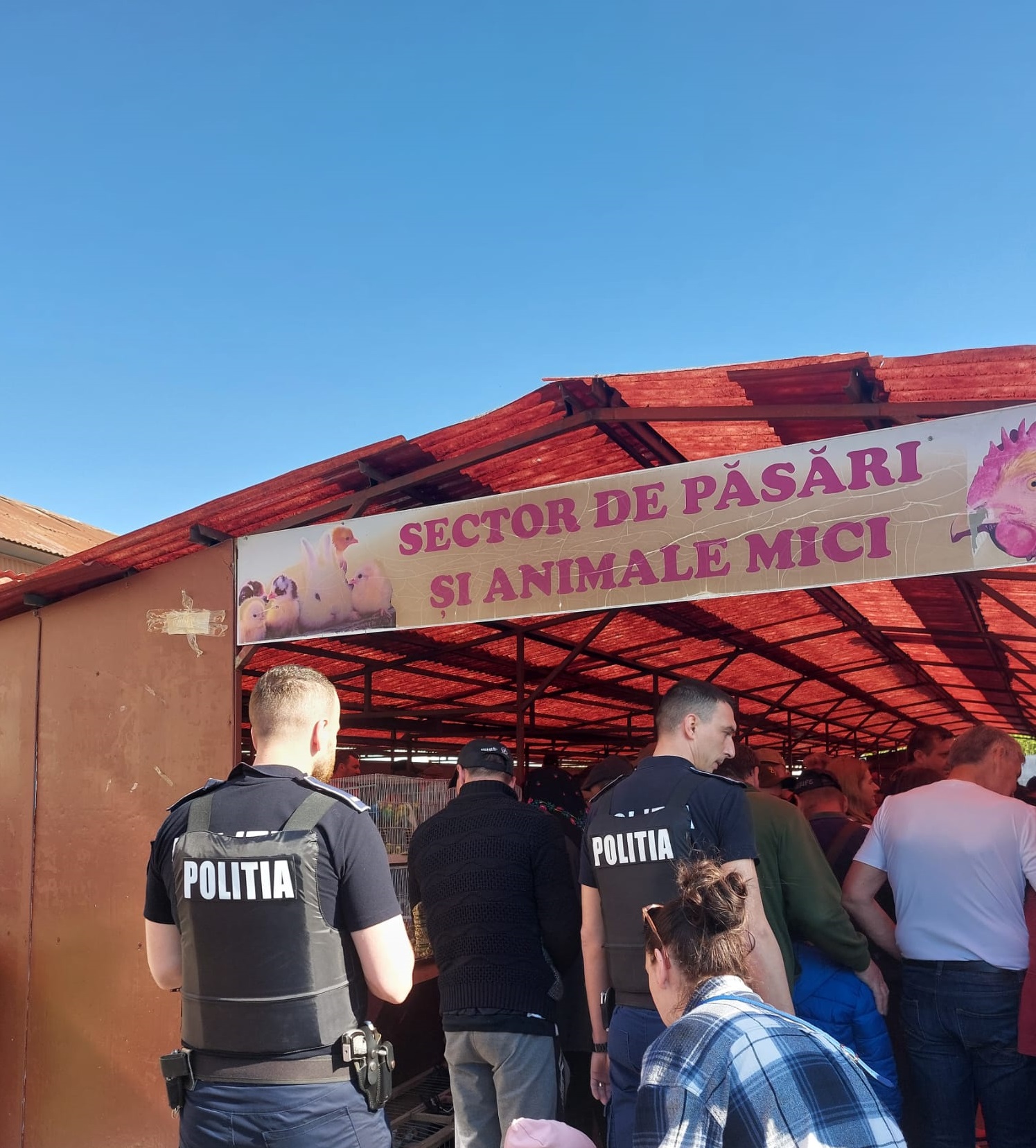 Activități informativ-preventive desfășurate de către polițiștii sătmăreni din cadrul Biroului pentru Protecția Animalelor