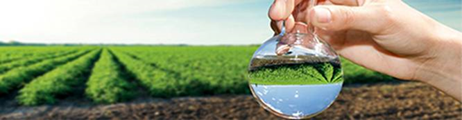 O nouă reuniune zonală a proiectului  „Controlul Integrat al Poluării cu Nutrienți” s-a desfăşurat la Oradea