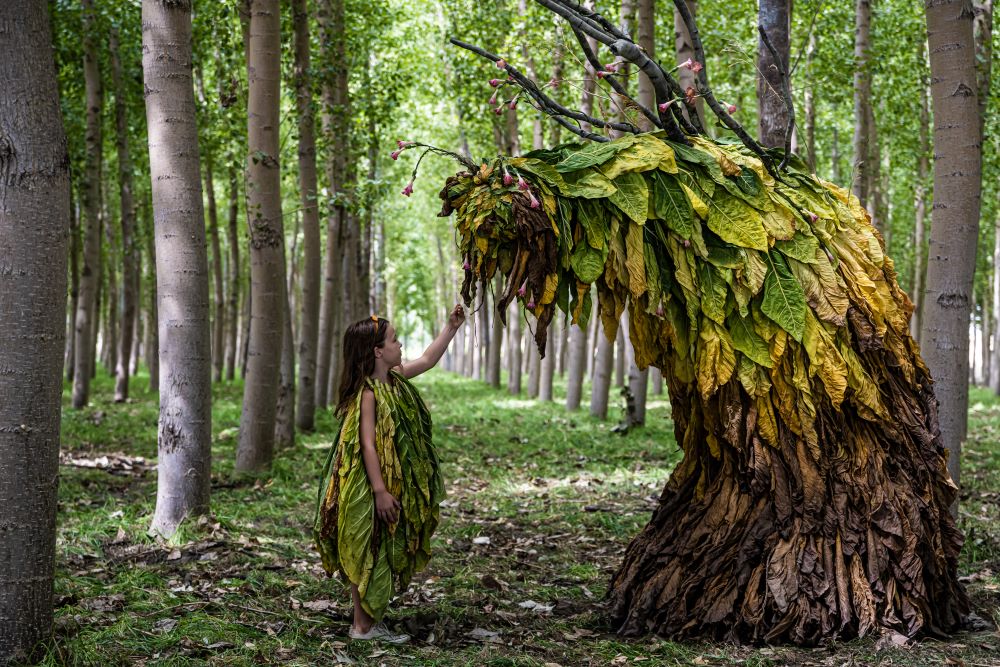 Selecția SMART7 la TIFF.22: voci inovatoare din șapte țări europene