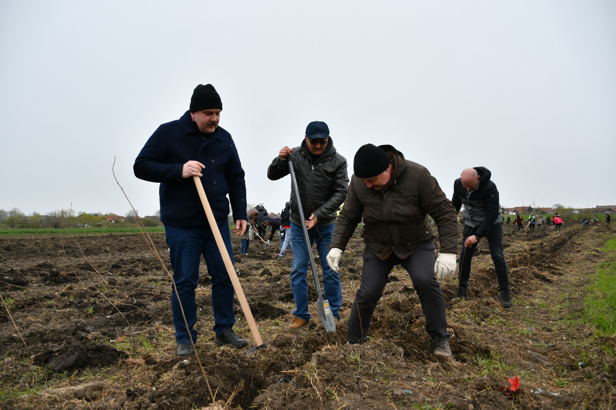 Plantare de puieți în comuna Tiream, ca parte a proiectului „Plantăm păduri pentru viitor!”