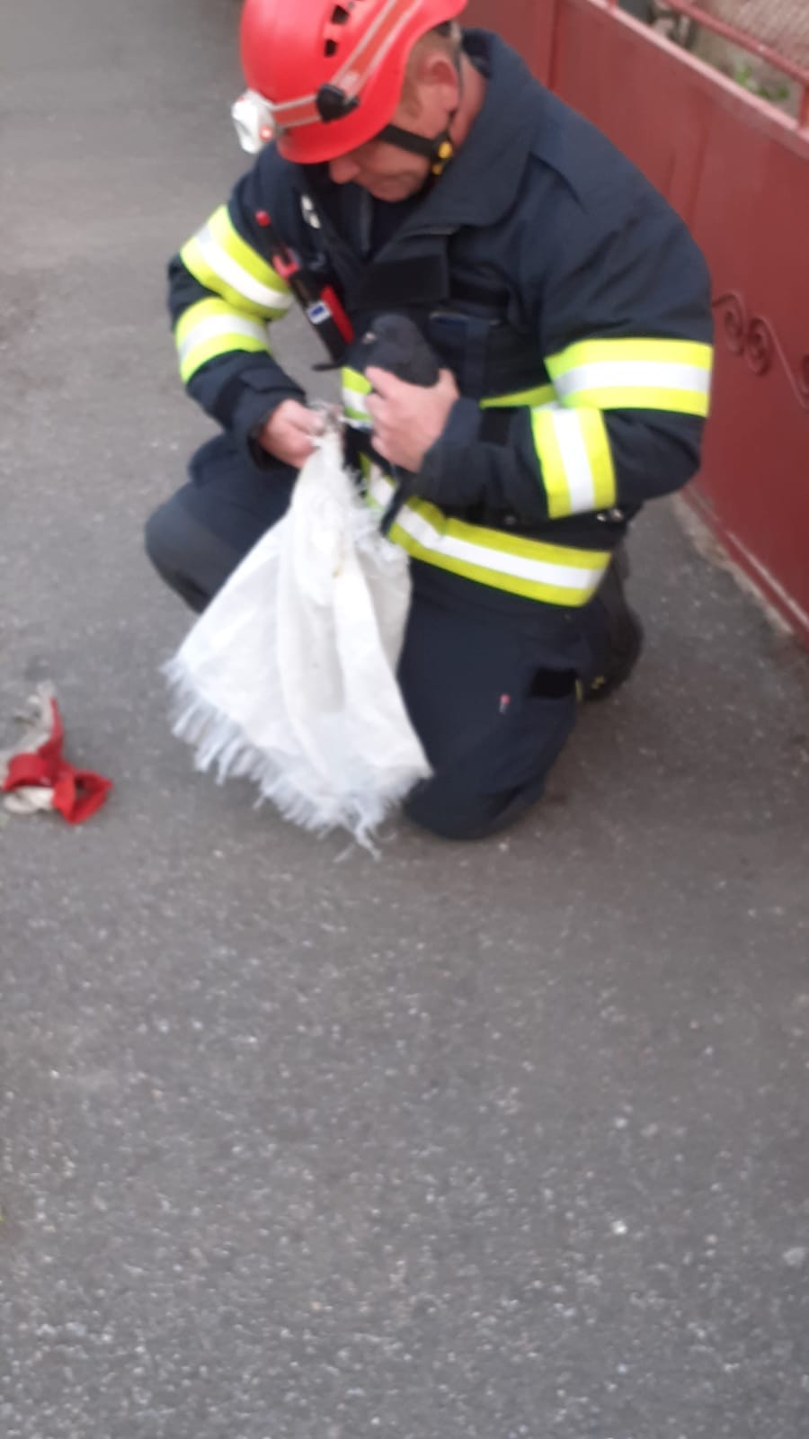 FOTO. Misiune de salvare mai puțin obișnuită a pompierilor