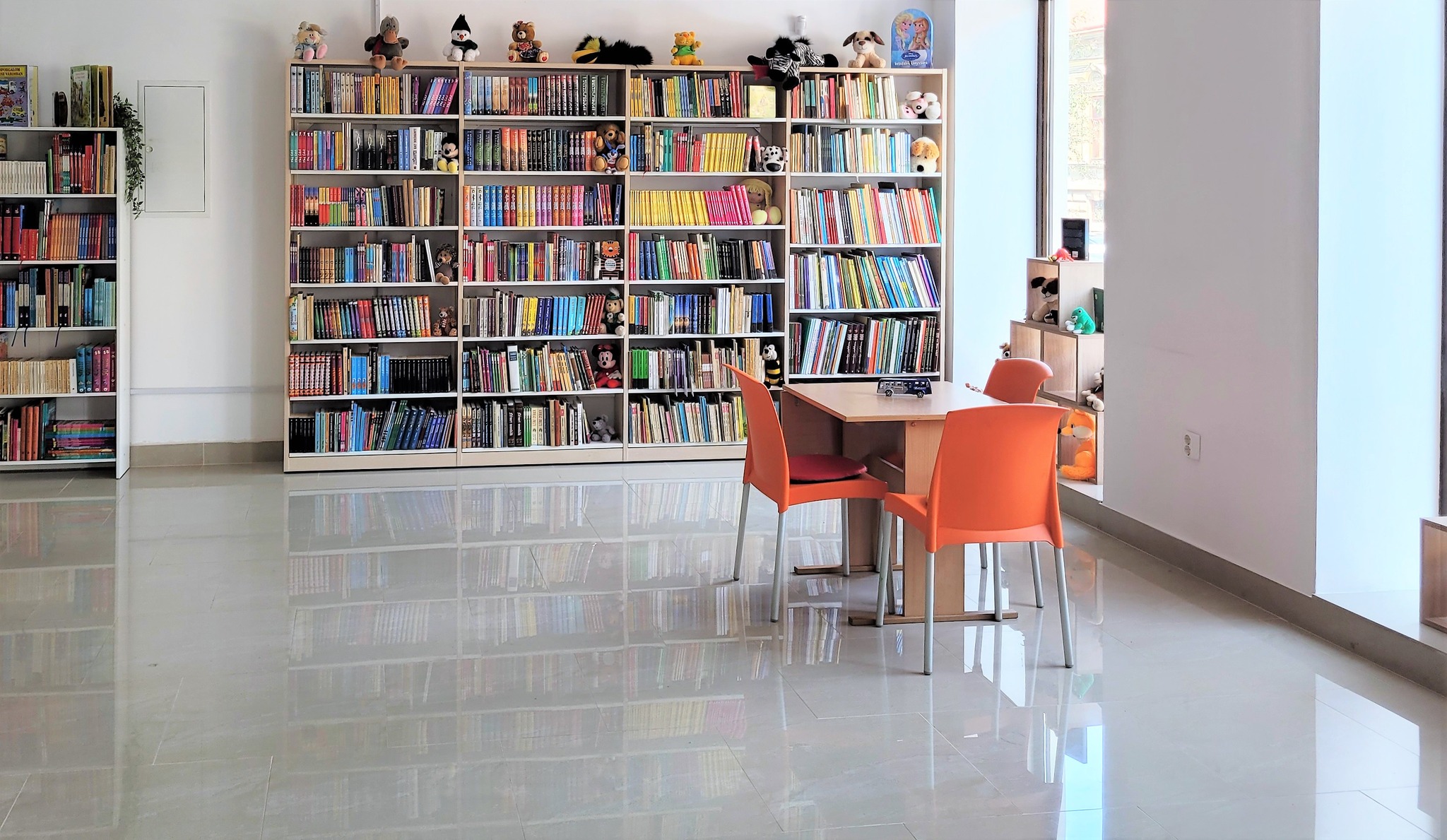 Ateliere  în cadrul Bibliotecii Județene Satu Mare