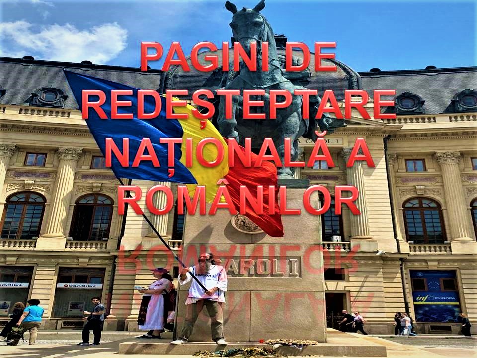 VERTICALI PENTRU ROMÂNIA: DE VEGHE LA CĂPĂTÂIUL UNUI SISTEM DE ÎNVĂȚĂMÂNT MURIBUND