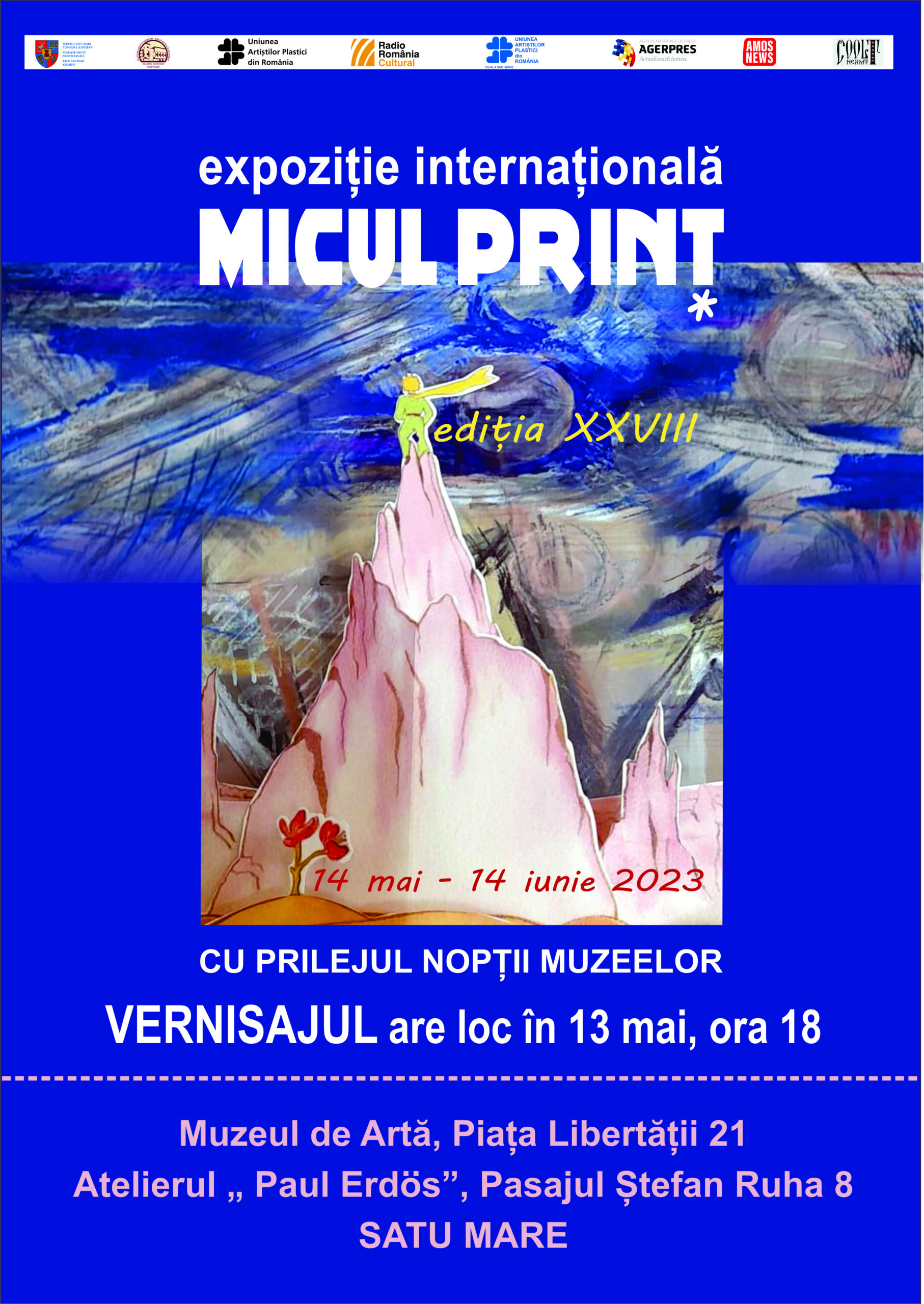 Expoziție internațională ”Micul prinț” la Satu Mare