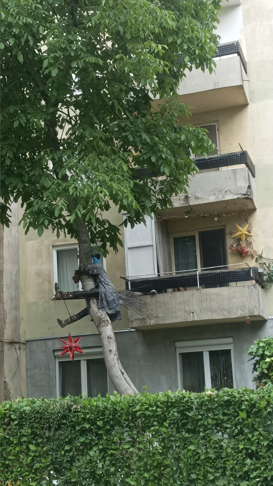 Baba cloanța cotoroanța