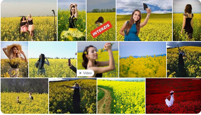 Comentariile trec,  ”japița” rămâne