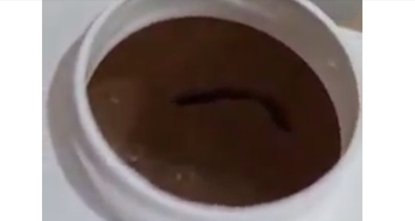 DEZGUSTĂTOR. Cu râma-n lapte