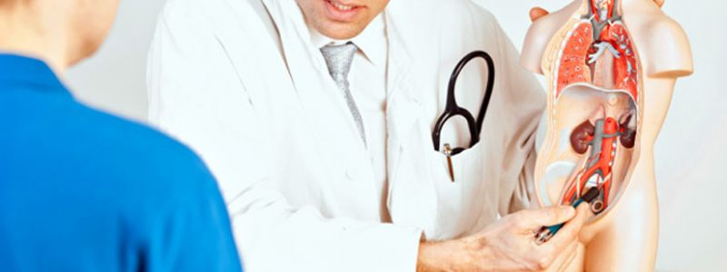 Ediția a XI-a a Simpozionului Zilele Urologiei Sătmărene