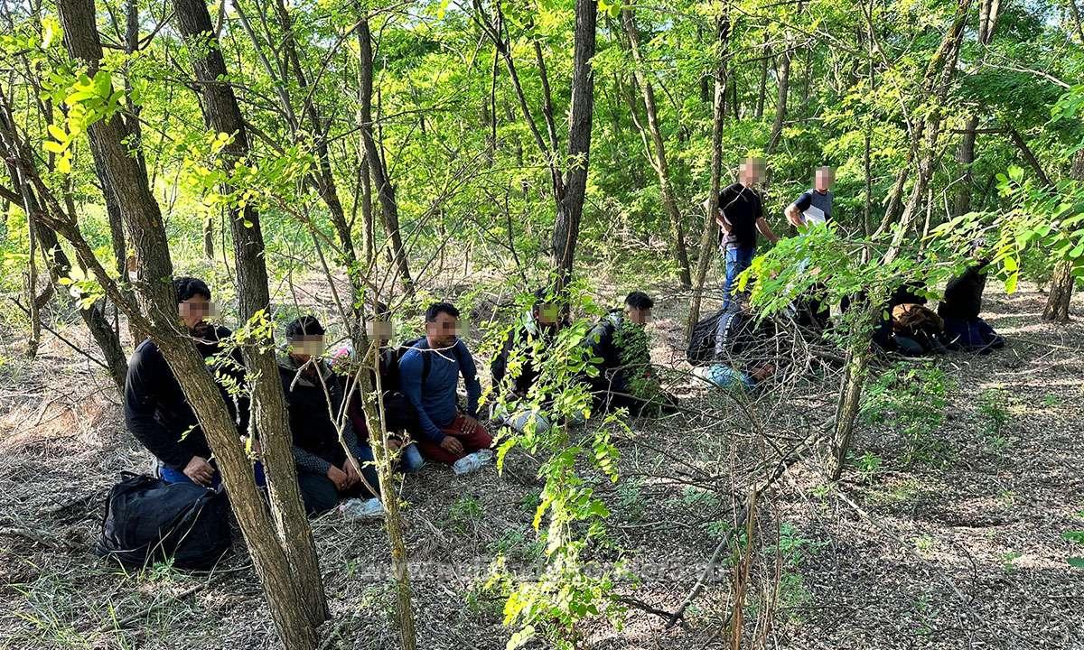 O călăuză din Satu Mare și 12 migranți, opriți la frontiera cu Ungaria