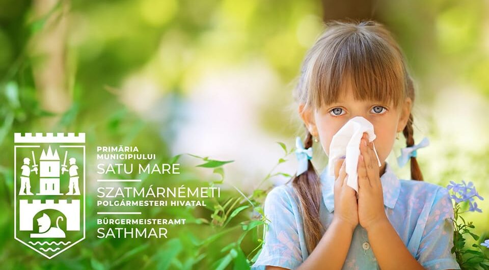 AMENZI DRASTICE PENTRU PROPRIETARII CARE NU CURĂȚĂ AMBROZIA DE PE TERENURILE PRIVATE