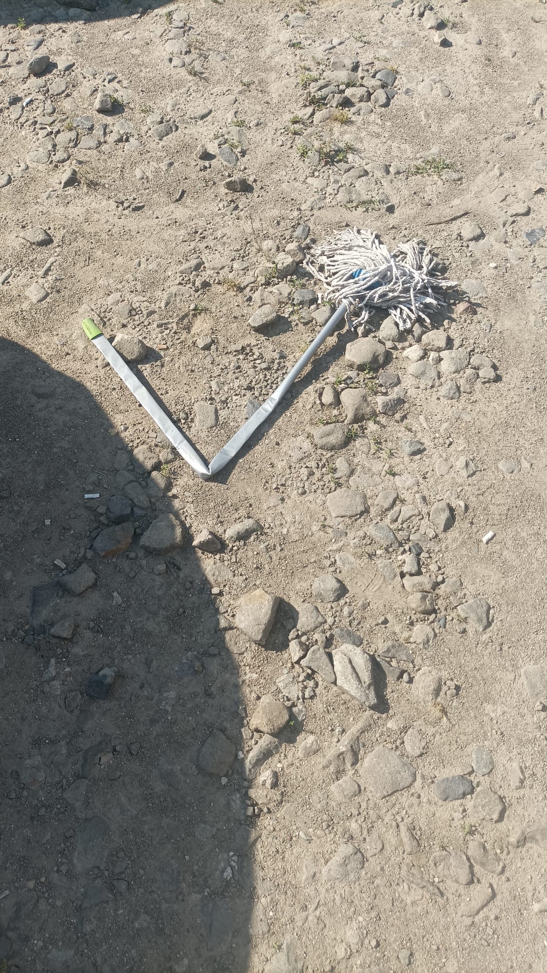 Cine și-a pierdut mopul?