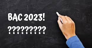 Proba la alegere a profilului și a specializării la Bac s-a desfășurat fără probleme majore la Satu Mare