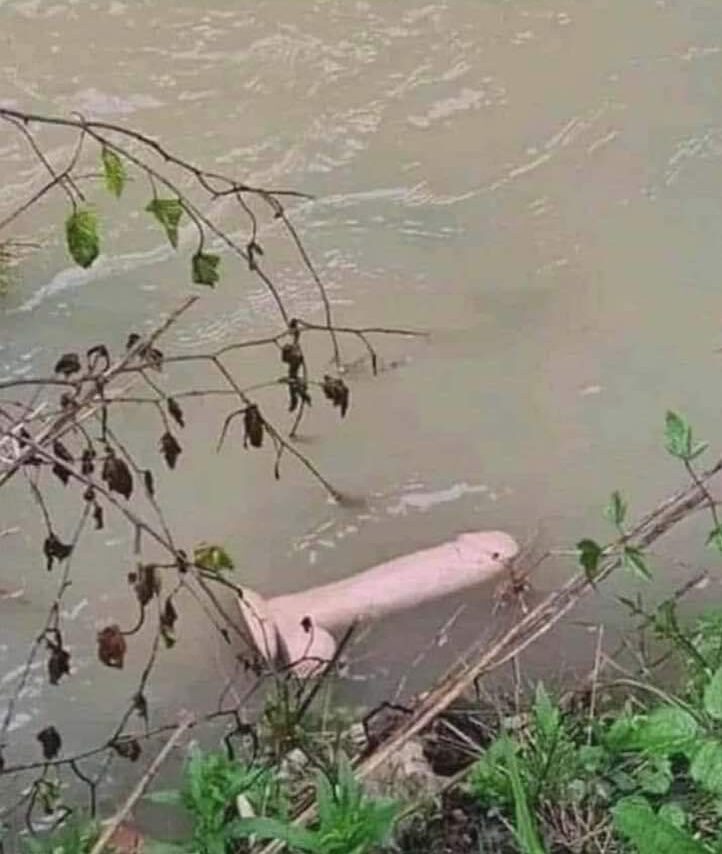 Știe cineva ce peşte este?