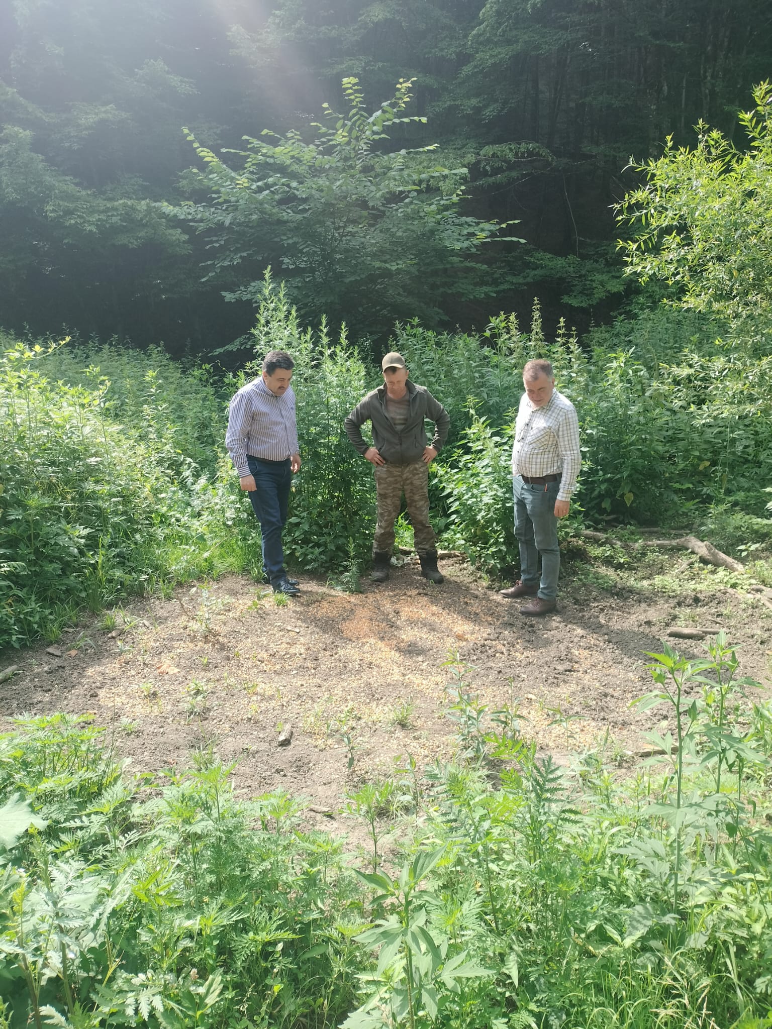 Familii izolate la Crucișor